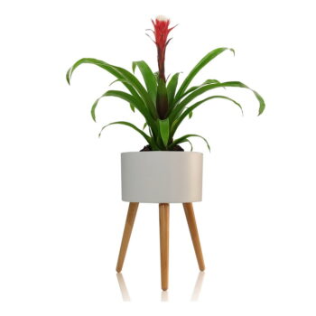Biely samozavlažovací kvetináč Tomasucci Calla, ø 33 cm - Image 3