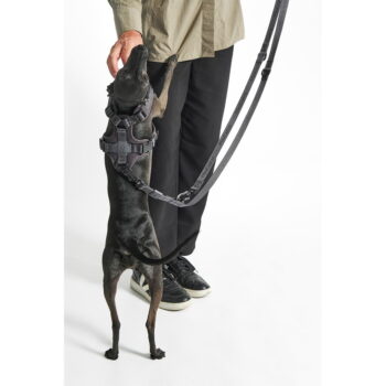 Béžová prepínacia vôdzka dĺžka 200 cm Modena Greige 20 mm – MiaCara - Image 8