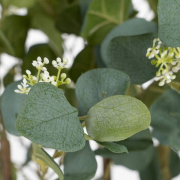Umelý eukalyptus (výška 173 cm) Eucalyptus – Ixia - Image 3