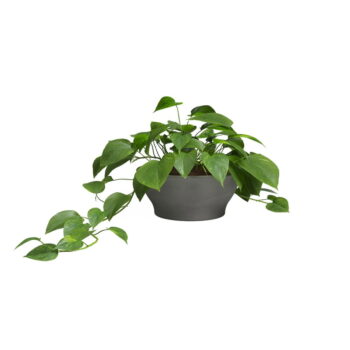 Kvetináč z terakoty ø 23 cm Saramago – Artevasi - Image 2