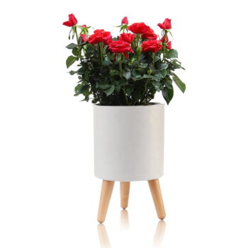 Plastový samozavlažovací kvetináč ø 19 cm Calla - Tomasucci - Image 6