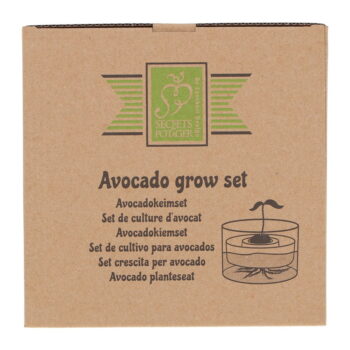 Sklenená klíčiaca miska ø 14 cm Avocado – Esschert Design - Image 6