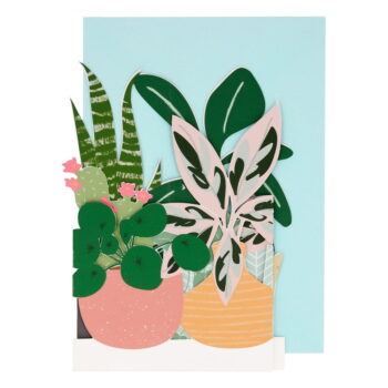Prianie Potted Plant – Meri Meri - Image 2
