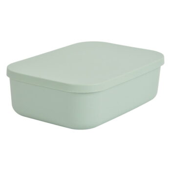 Svetlozelený plastový úložný box s vekom 24x18x8 cm – Homéa