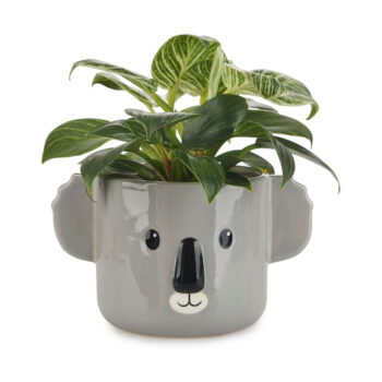Keramický kvetináč ø 13,5 cm Koala – Balvi - Image 2