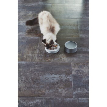 Porcelánová miska pre mačku ø 14 cm Fresco Concrete S – MiaCara - Image 5