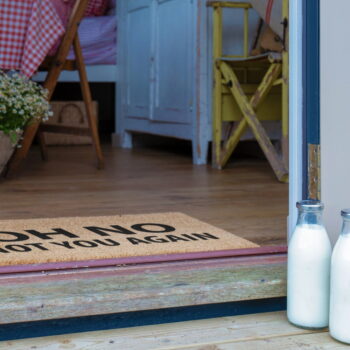 Rohožka z kokosového vlákna 40x60 cm Not You Again – Artsy Doormats - Image 8