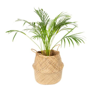 Svetlý úložný košík z morskej trávy Compactor, ⌀ 36 cm - Image 2