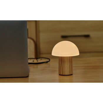 Stmievateľná stolová lampa v prírodnej farbe so skleneným tienidlom (výška 13 cm) Alice – Gingko - Image 11
