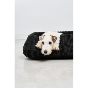 Antracitový pelech pre psa 58x68 cm Mio Anthracite S – MiaCara - Image 10