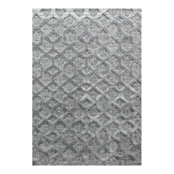 Sivý koberec 160x230 cm Pisa – Ayyildiz Carpets