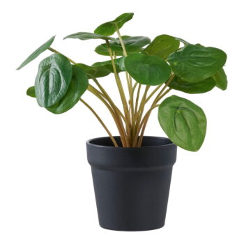 Umelá rastlina (výška 28 cm) Pelia – House Nordic