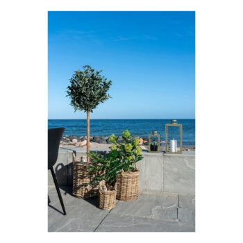 Umelá rastlina Skimmia – House Nordic - Image 6