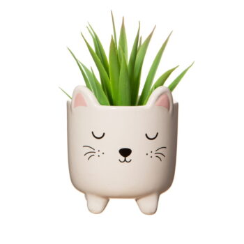 Kamenný kvetináč ø 7,5 cm Cat – Sass & Belle – Obrázok 2