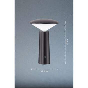 LED stmievateľné vonkajšie svietidlo so senzorom pohybu ø 14 cm Pinto – Fischer & Honsel - Image 7