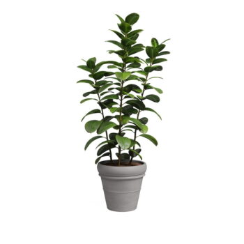 Kvetináč z terakoty ø 37 cm Mariza – Artevasi - Image 2