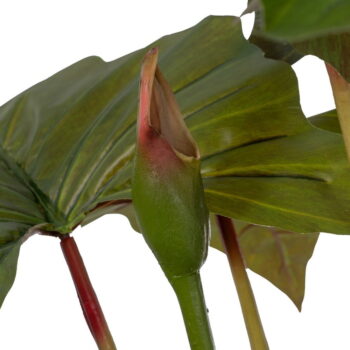 Umelá rastlina (výška 185 cm) Alocasia – Ixia - Image 2