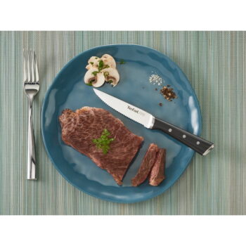 Súprava nožov na steak z nerezovej ocele 4 ks Ice Force – Tefal - Image 2
