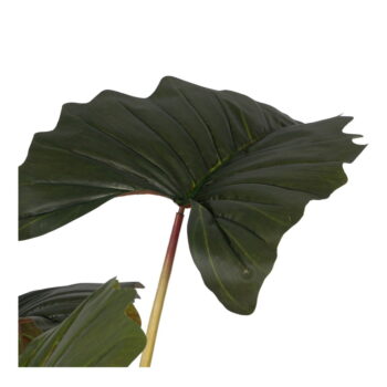 Umelá rastlina (výška 185 cm) Alocasia – Ixia - Image 3
