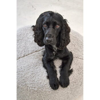 Tmavosivý pelech pre psa z materiálu buklé ø 90 cm Senso Pouffe Graphite M/L – MiaCara – Obrázok 3