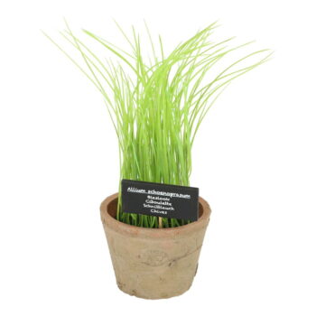 Umelá rastlina (výška 27 cm) Chives – Esschert Design - Image 5