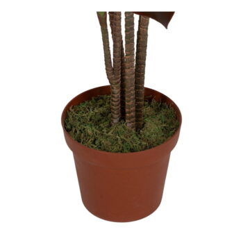 Umelá rastlina (výška 170 cm) – Ixia – Obrázok 4