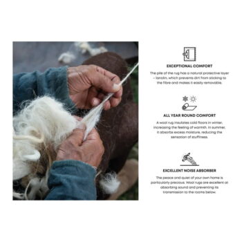 Béžový vlnený koberec 300x400 cm Damask – Agnella – Obrázok 7