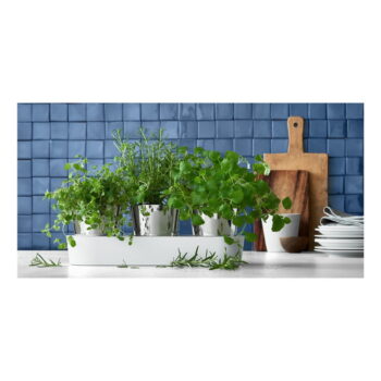 Súprava 3 antikoro kvetináčov na bylinky WMF Gourmet - Image 2
