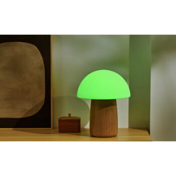 Stmievateľná stolová lampa v prírodnej farbe so skleneným tienidlom (výška 32 cm) Alice - Gingko – Obrázok 6