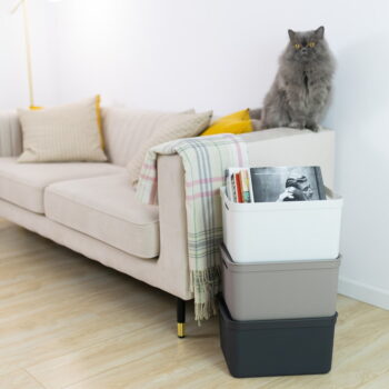 Plastový úložný box s vekom Deco - Rotho - Image 7