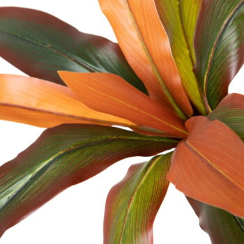 Umelá rastlina (výška 140 cm) Dracena – Ixia - Image 5