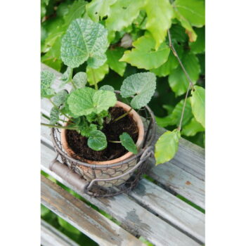 Terakotový ručne vyrobený kvetináč ø 12 cm – Esschert Design - Image 3