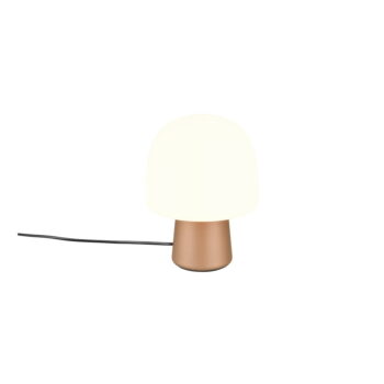 Stolová lampa v bielo-bronzovej farbe so skleneným tienidlom (výška 27 cm) Steen – Trio - Image 6