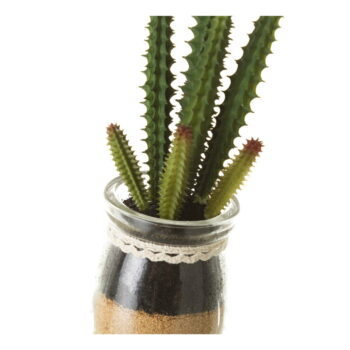 Umelé rastliny v súprave 4 ks (výška  18 cm) Cactus – Casa Selección - Image 2
