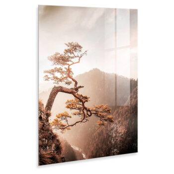 Sklenený obraz 50x70 cm Brown Tree - Styler – Obrázok 4