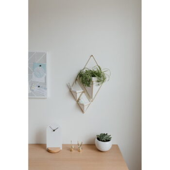Závesný keramický kvetináč na bylinky Trigg – Umbra - Image 6