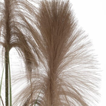 Umelá rastlina (výška 120 cm) – Ixia - Image 4
