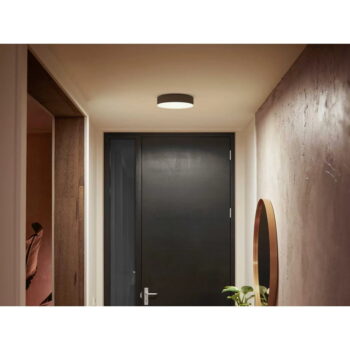 LED inteligentné stropné svietidlo 10 W Enrave – Philips Hue - Image 2