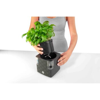 Samozavlažovací plastový kvetináč na bylinky Cobble - Flower Lover - Image 11