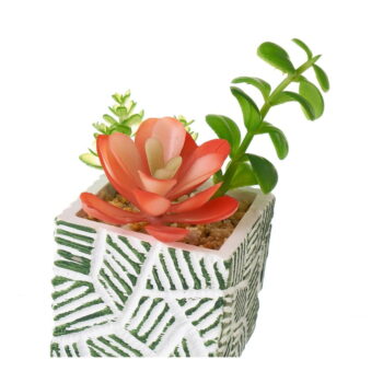 Umelé rastliny v súprave 3 ks (výška  12 cm) Cactus – Casa Selección - Image 4