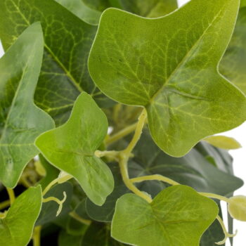 Umelá rastlina (výška 39 cm) Ivy – Ixia – Obrázok 5