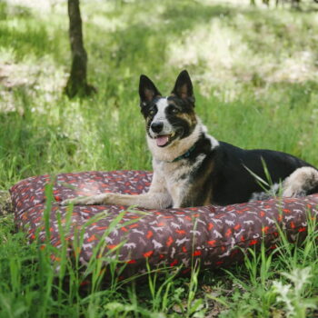 Hnedý pelech pre psa 70x90 cm Outdoor Bed Mocha M – P.L.A.Y. - Image 2