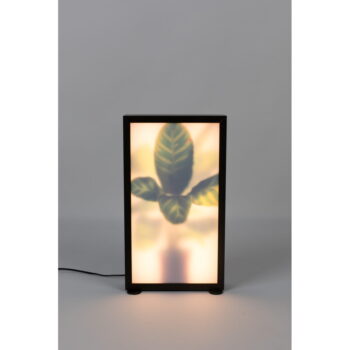 Čierna stojacia lampa Grow - Zuiver - Image 2