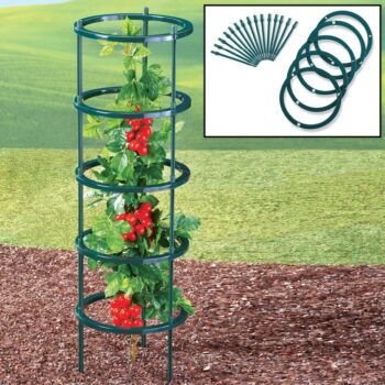 Podpora vonkajších rastlín – Garden Pleasure – Obrázok 2