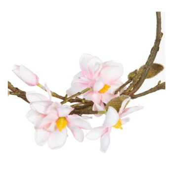 Veniec Magnolia – Ixia – Obrázok 5