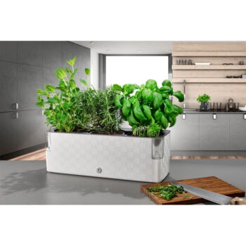 Hrantík 40 cm Cobble – Flower Lover - Image 2