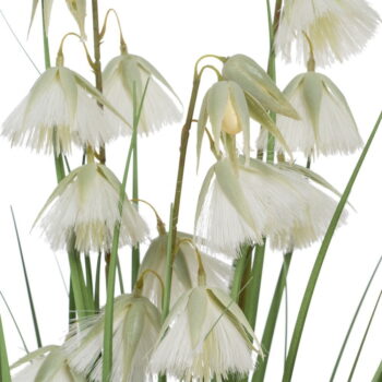 Umelá rastlina (výška 91 cm) – Ixia - Image 2