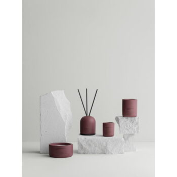 Vonná  sójová sviečka doba horenia 25 h Fraga: Cinnamon & Apple – Blomus – Obrázok 2