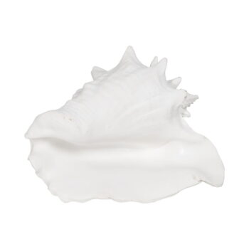 Soška z polyresínu (výška 13 cm) Seashell – Ixia – Obrázok 5