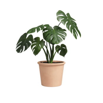 Kvetináč z terakoty ø 28 cm Saramago Cilindro – Artevasi - Image 2